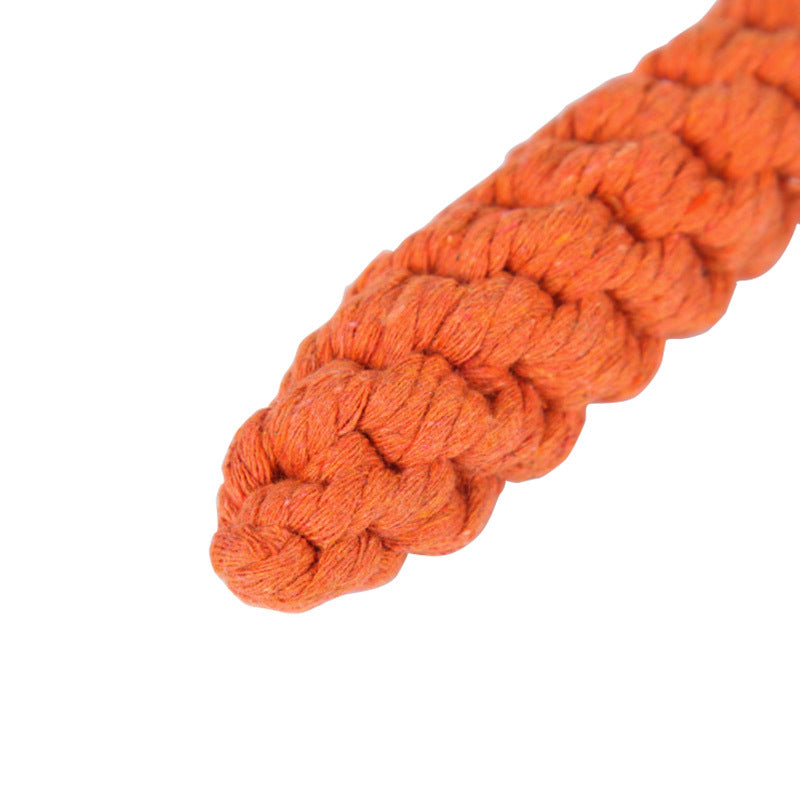 CARROT PET TOY
